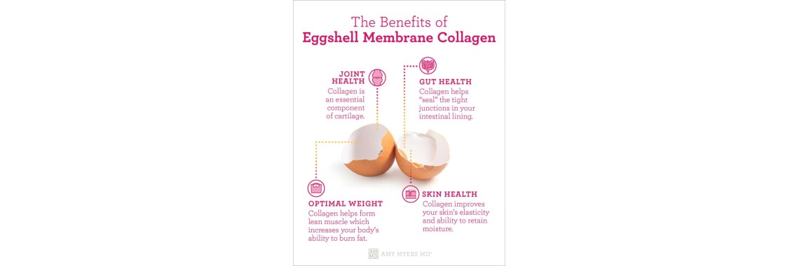 Egg Membrane Collagen
